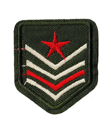 Bild på Military Badge 4